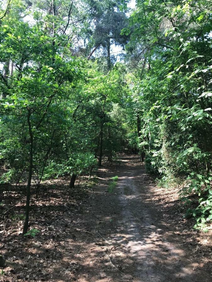 Natuurpark Hoefbos Boshuisje Veluwe Otterlo Exterior foto
