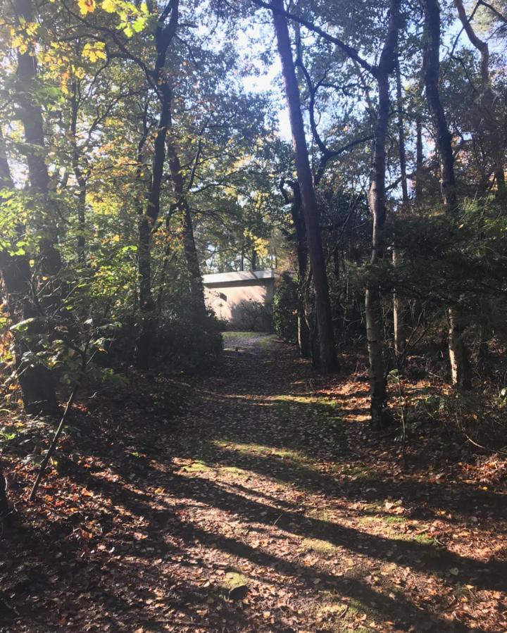 Natuurpark Hoefbos Boshuisje Veluwe Otterlo Exterior foto